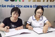 Bí mật khủng khiếp sau khi xếp hàng chọn bố cho con