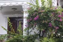 Ngôi nhà có mặt tiền hoa giấy cực lãng mạn khiến ai nhìn cũng mê