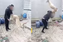 Chủ giết chó theo cách dã man gây phẫn nộ ở Trung Quốc