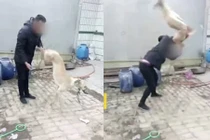 Chủ giết chó theo cách dã man gây phẫn nộ ở Trung Quốc