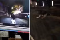 Cặp đôi gặp nạn khi làm chuyện yêu đương giữa đường