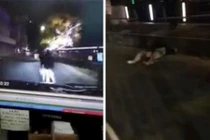 Cặp đôi gặp nạn khi làm chuyện yêu đương giữa đường