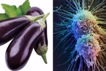 Những thực phẩm là "kẻ thù" của ung thư, nên bổ sung hàng ngày 