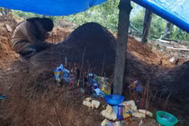 Hình ảnh đau xót: Nữ sinh lớp 11 gục bên mộ của cha mẹ