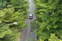 Những con đường rợp bóng cây xanh giữa ngày hè ‘đổ lửa’ tại Hà Nội