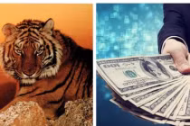 3 con giáp này kinh doanh 1 vốn 4 lời, tiền kiếm được không đếm xuể