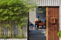 Loại cây tăng cường dương khí, trồng đúng long mạch giàu nứt đố đổ vách