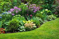 Bị phát hiện lên chức nhờ ngoại tình, sếp nữ hành xử không ngờ