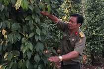 Khu vườn 360 tỷ đồng của "đại gia" củ cải Lâm Đồng