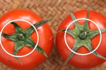 Mua cà chua đừng nắn bóp, nhớ 5 điều này để chọn được quả ngon