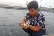 Nghề lạ ở Ninh Bình: Cân cát lấy tiền thu, triệu đồng