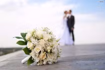 Tưởng cài bẫy vợ, không ngờ lại giúp cô cưới chồng mới soái ca