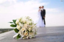 Tưởng cài bẫy vợ, không ngờ lại giúp cô cưới chồng mới soái ca