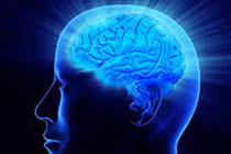 Video: Bộ não của bạn đang lười biếng theo cách nào?