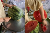 Sửng sốt với thứ bên trong quả dưa khủng nặng 10kg