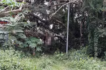 Uất ức bị nghi là trộm, người đàn ông treo cổ tự tử