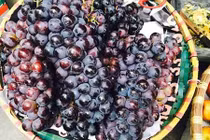 Người Việt đã ăn 15.000 tấn nho Trung Quốc