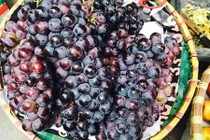 Người Việt đã ăn 15.000 tấn nho Trung Quốc