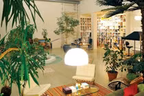 Bí quyết giữ nhà mát lạnh trong ngày nóng không phải ai cũng biết