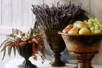 Bài trí hoa oải hương đúng phong thủy để gia đình hạnh phúc viên mãn