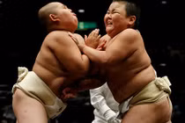 Xem trẻ em Nhật đấu võ sumo rèn tính can đảm