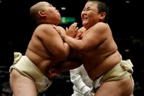 Xem trẻ em Nhật đấu võ sumo rèn tính can đảm