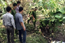 Mùi hôi thối tố công ty giấy xả trộm nước thải ra suối