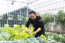 Ông bố Hà Nội chi gần trăm triệu để trồng rau trên sân thượng