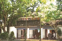 Những người Việt trẻ ở Nhật qua đời vì quá áp lực