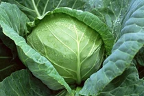 Những loại rau củ bán đầy chợ tháng 10 nên cẩn trọng khi mua