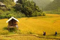 Du khách Việt "sốt xình xịch" với những điểm ngắm mùa thu tuyệt đẹp