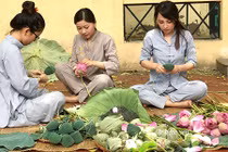 Chị gái Hà Thành hái 5.000 bông sen 100 cánh ướp trà chiều khách