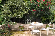 Xiêu lòng trước sân thượng rực rỡ hoa hồng của bà mẹ Hà Nội