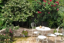 Xiêu lòng trước sân thượng rực rỡ hoa hồng của bà mẹ Hà Nội