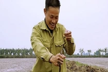 Lươn đồng khan hiếm, giá 300 ngàn/kg, 1 ngày đi câu có triệu bạc