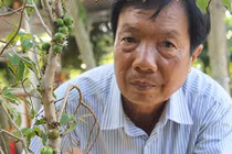 Trái cây "độc, lạ" mất thị trường Tết