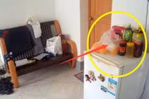 Đại kỵ phong thủy khi để vật này trên nóc tủ lạnh