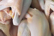 Chợ mạng nhộn nhịp mua bán khi giá gà ri bất ngờ giảm mạnh