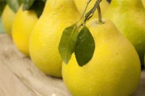 Mua bưởi thắp hương hãy tránh xa những quả có dấu hiệu này