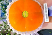 Hồng Nhật khổng lồ 1 triệu đồng/quả vẫn cháy hàng