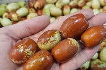 Loại quả xấu mã này ở Việt Nam bán đắt cắt cổ