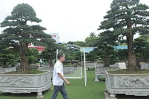 Mãn nhãn vườn cây cảnh chúa trùm thảo mộc