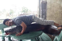 Sự thật bắt được cá 'khổng lồ' nặng 110kg ở sông Nhuệ, Hà Nội