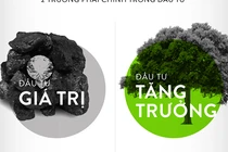 Những nhà đầu tư "lão làng" chọn cổ phiếu như thế nào?