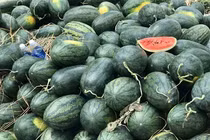 Trung Quốc siết chặt nhập hàng, cảnh báo nguy cơ dồn tắc cửa khẩu