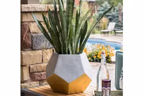 Loạt chậu trồng cây siêu xinh, nhìn là muốn rinh ngay về nhà