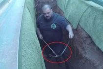 Video: Đám tang bị gián đoạn vì rắn độc lẻn vào mộ