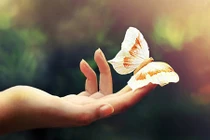 29 câu nói thay đổi số phận của mỗi con người