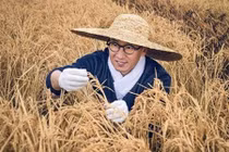 Tài tử "Hoàn Châu cách cách" hết thời, bỏ về quê trồng lúa