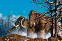 Voi ma mút khổng lồ nặng thế nào và vì sao chúng tuyệt chủng? 